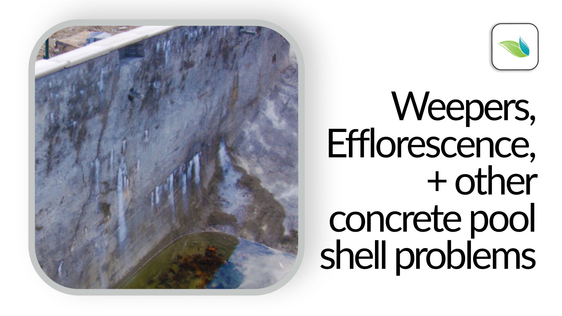 Weepers, Efflorescence, and other Concrete Pool Shell Problems