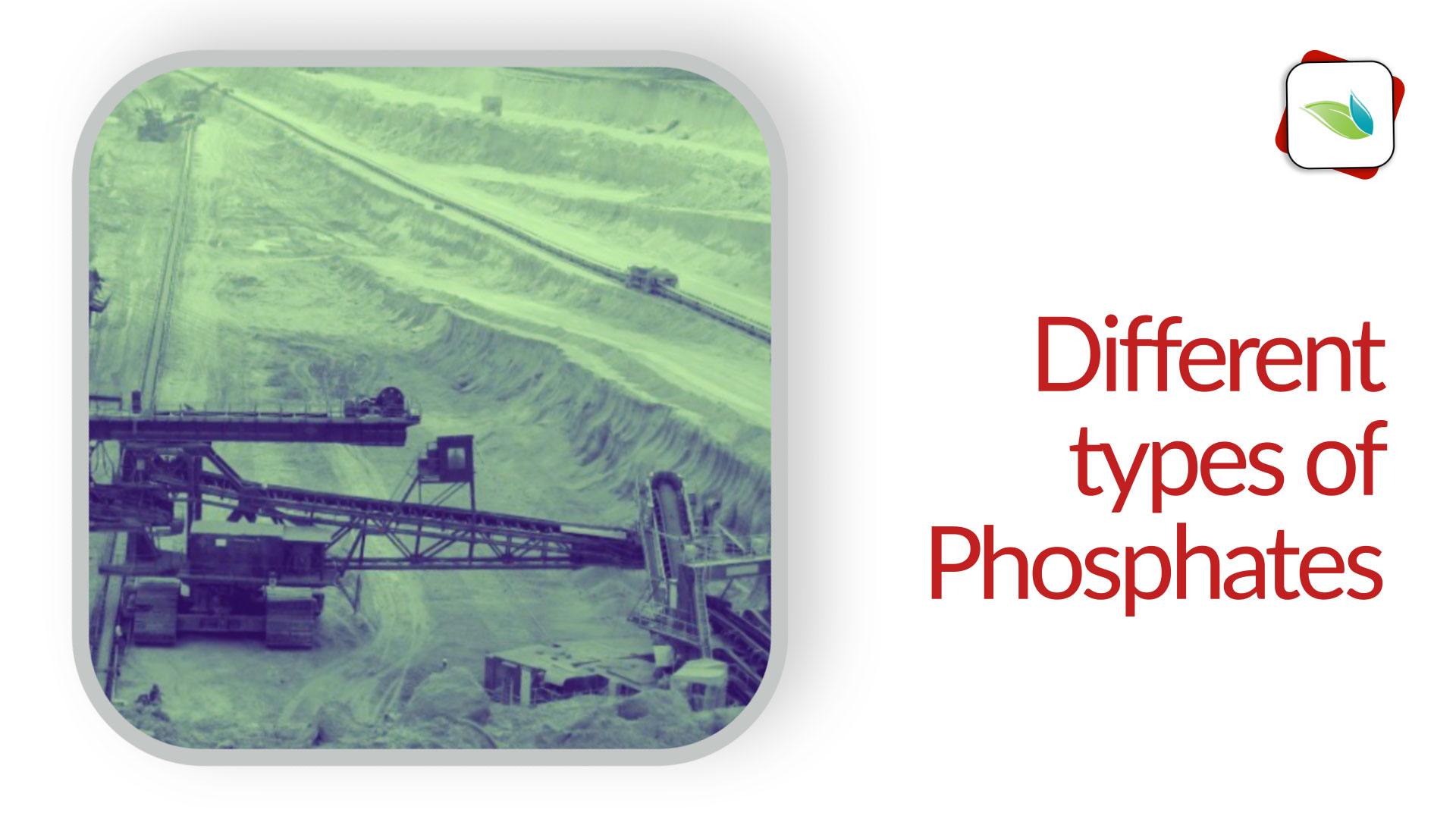 Different Types of Phosphates