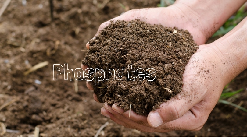 Phosphates-2.jpg
