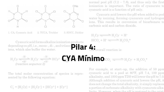 Pillar 4_ Minimal CYA-1
