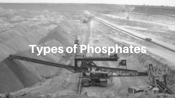 Types of Phosphates.png
