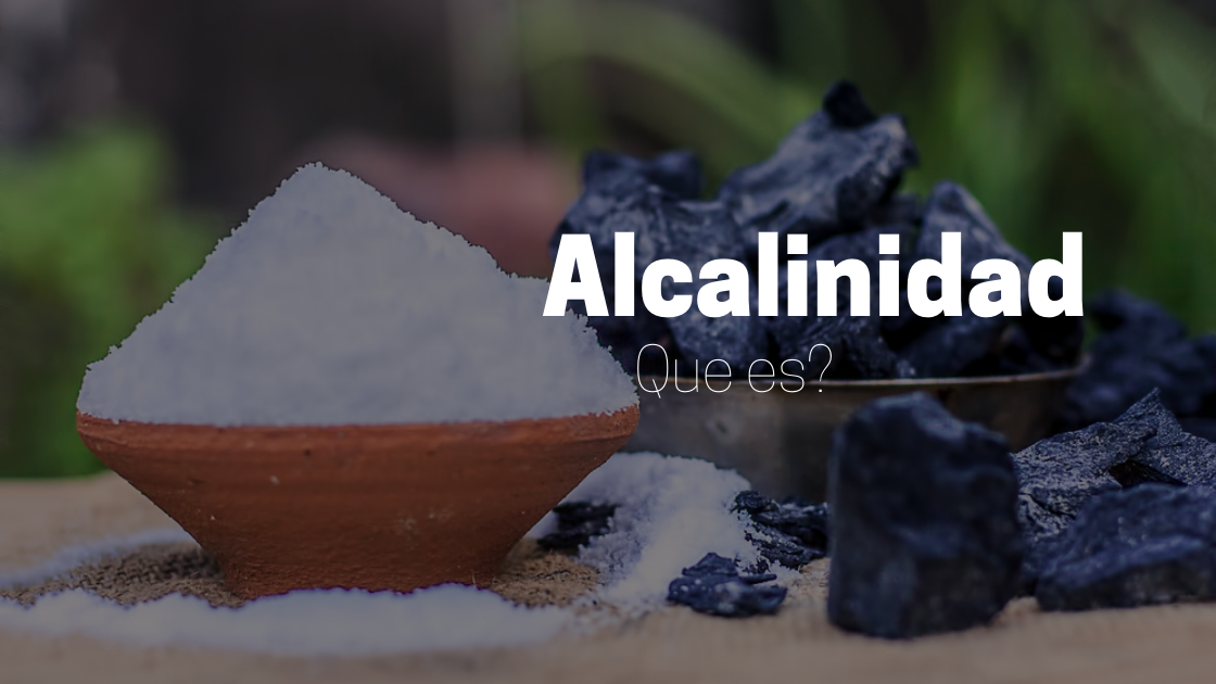 Que es la Alcalinidad?