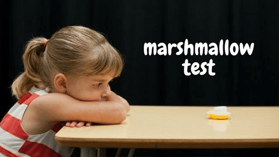 marshmallow-test.png