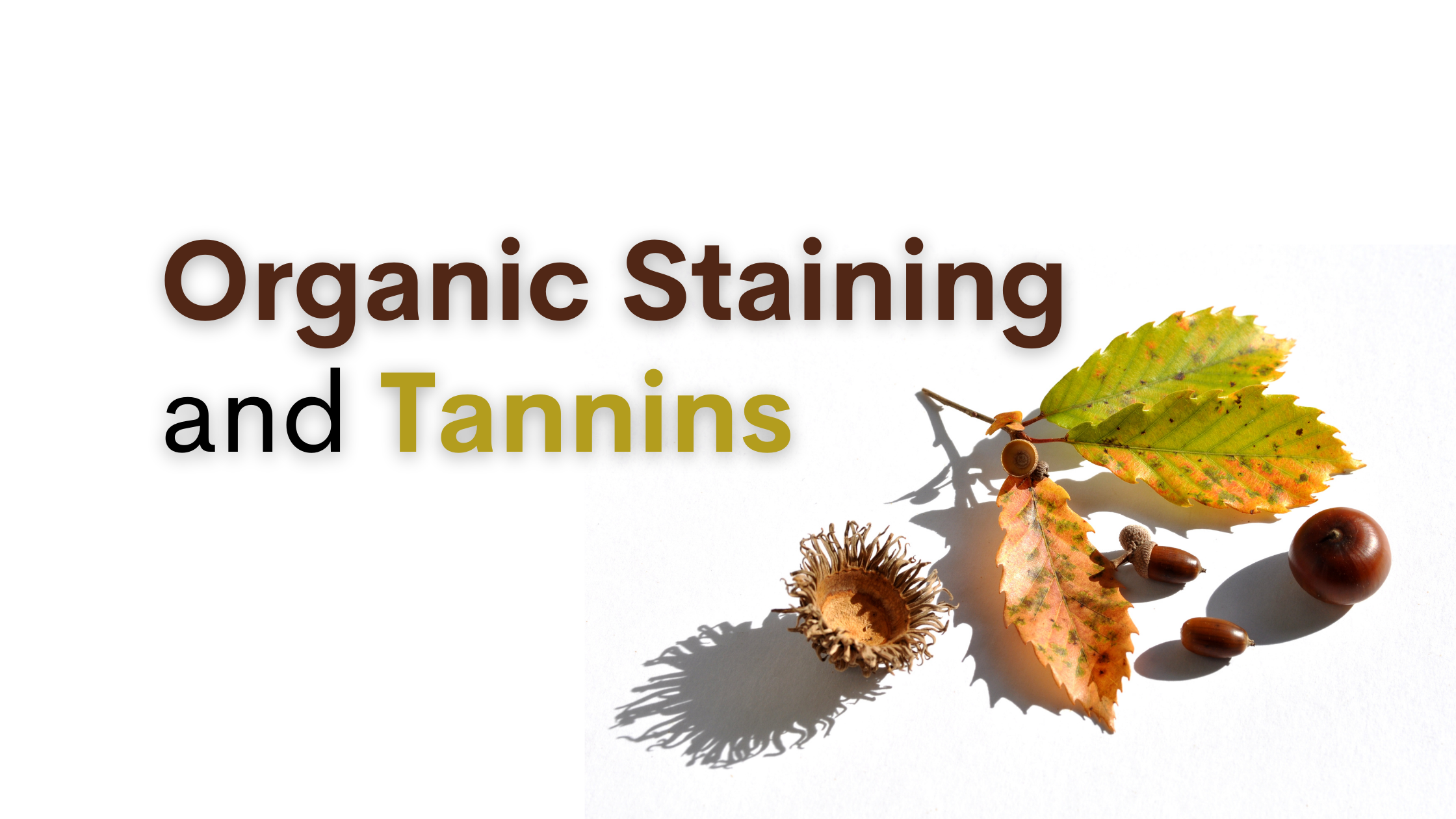 organic staining in pool, tannins, tannin staining, pool organic stain, leaf stains in pool